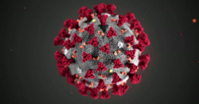 Corona Virus