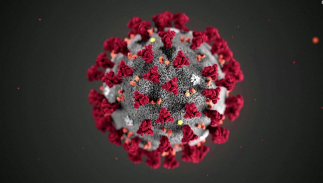 Corona Virus